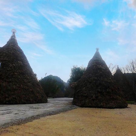 Truong Son Luxury Homestay Ninh Bình Exteriör bild
